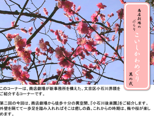 ���X����̂Ԃ�肱��������߂��� -���̓�- 